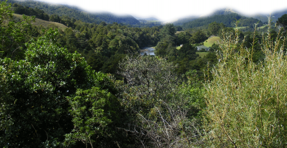 Natasha Clarke-Nathan Kellogg report image