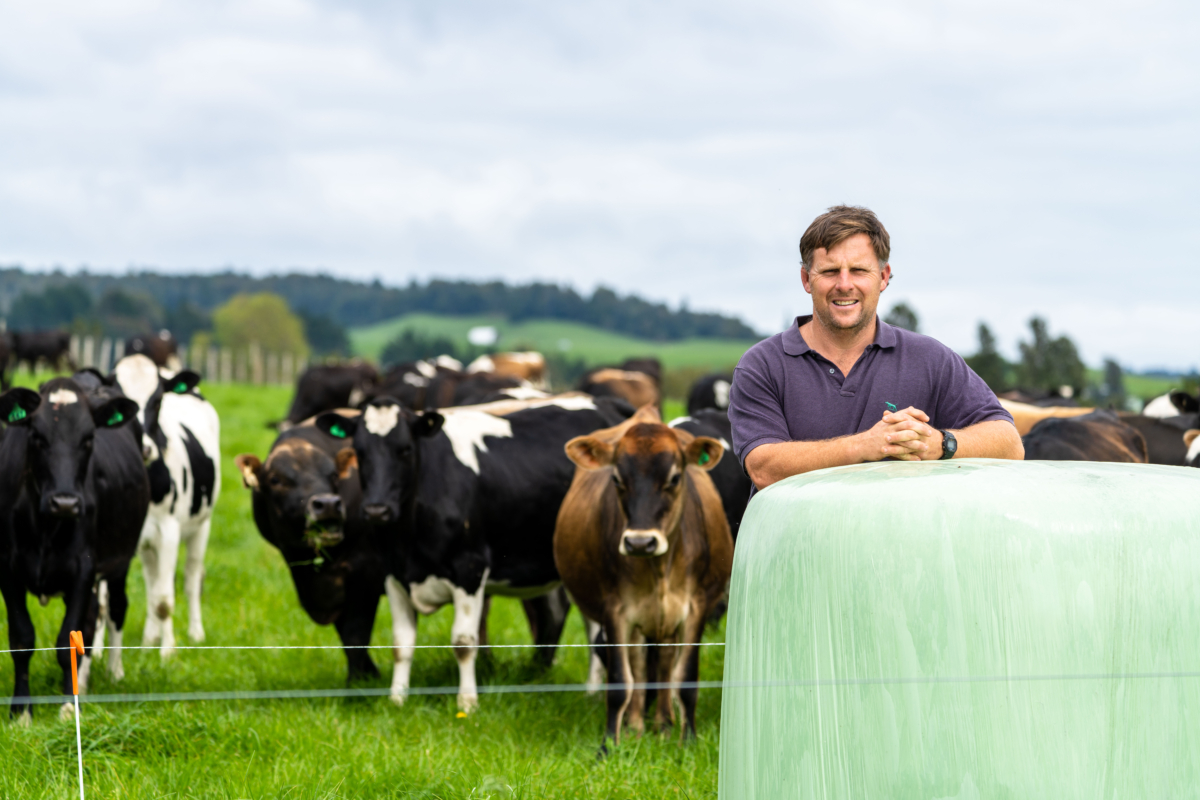 Phil and Megan Weir have designed a system to increase dairy grazing income by adding value