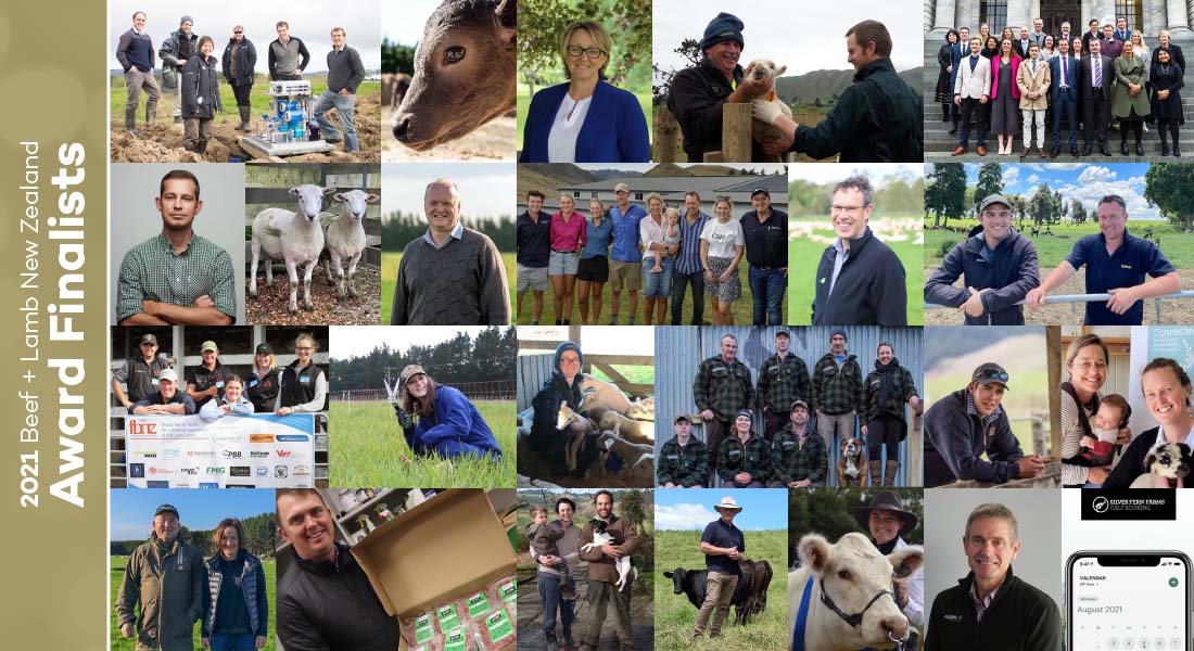 Beef and Lamb Awards finalists 2021