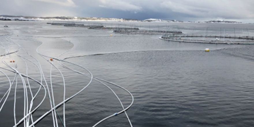 Salmon farm in Norway