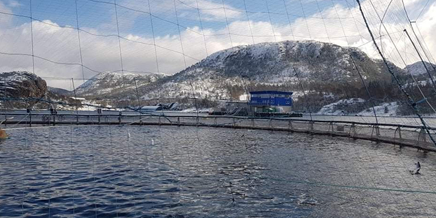 Salmon farm in Norway