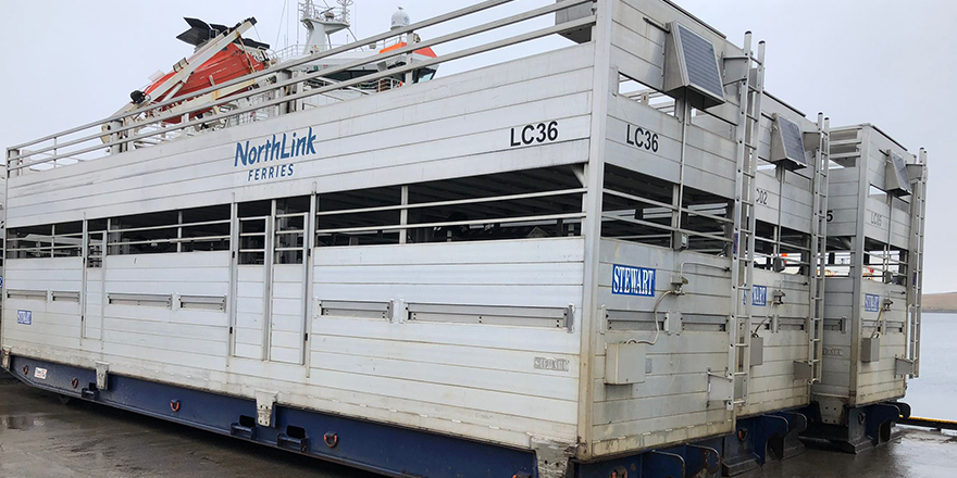 Transporting stock to shetland Islands