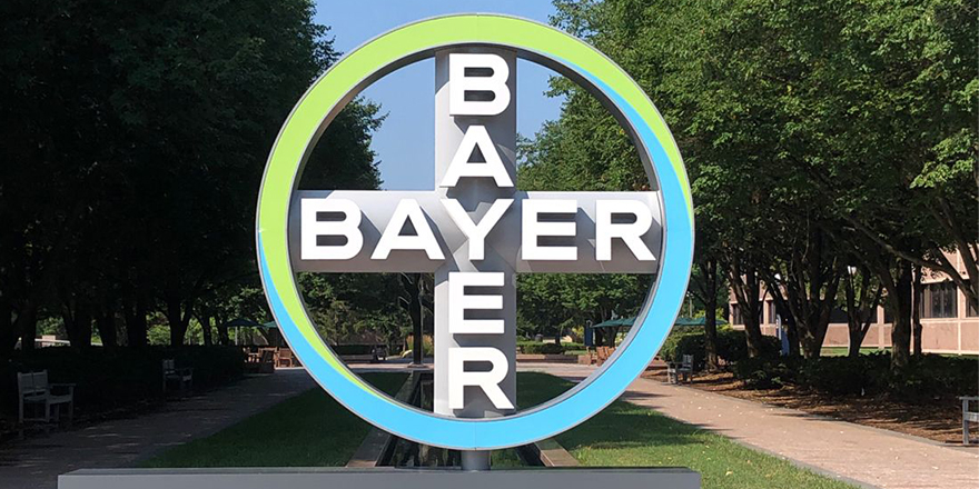 _0000_Bayer