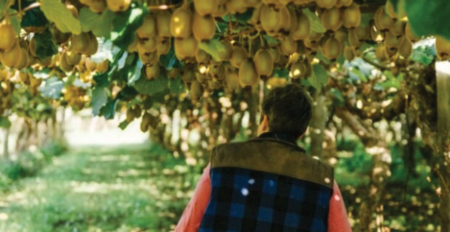 Predicaments around storage pooling in the kiwifruit industry. Rural