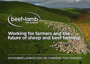 Beef+Lamb NZ